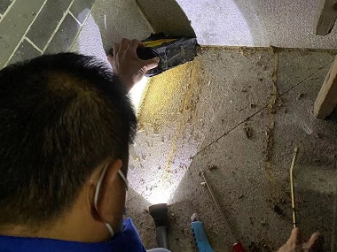 西樵白蚁备案公司为什么居住的房屋里会有白蚁